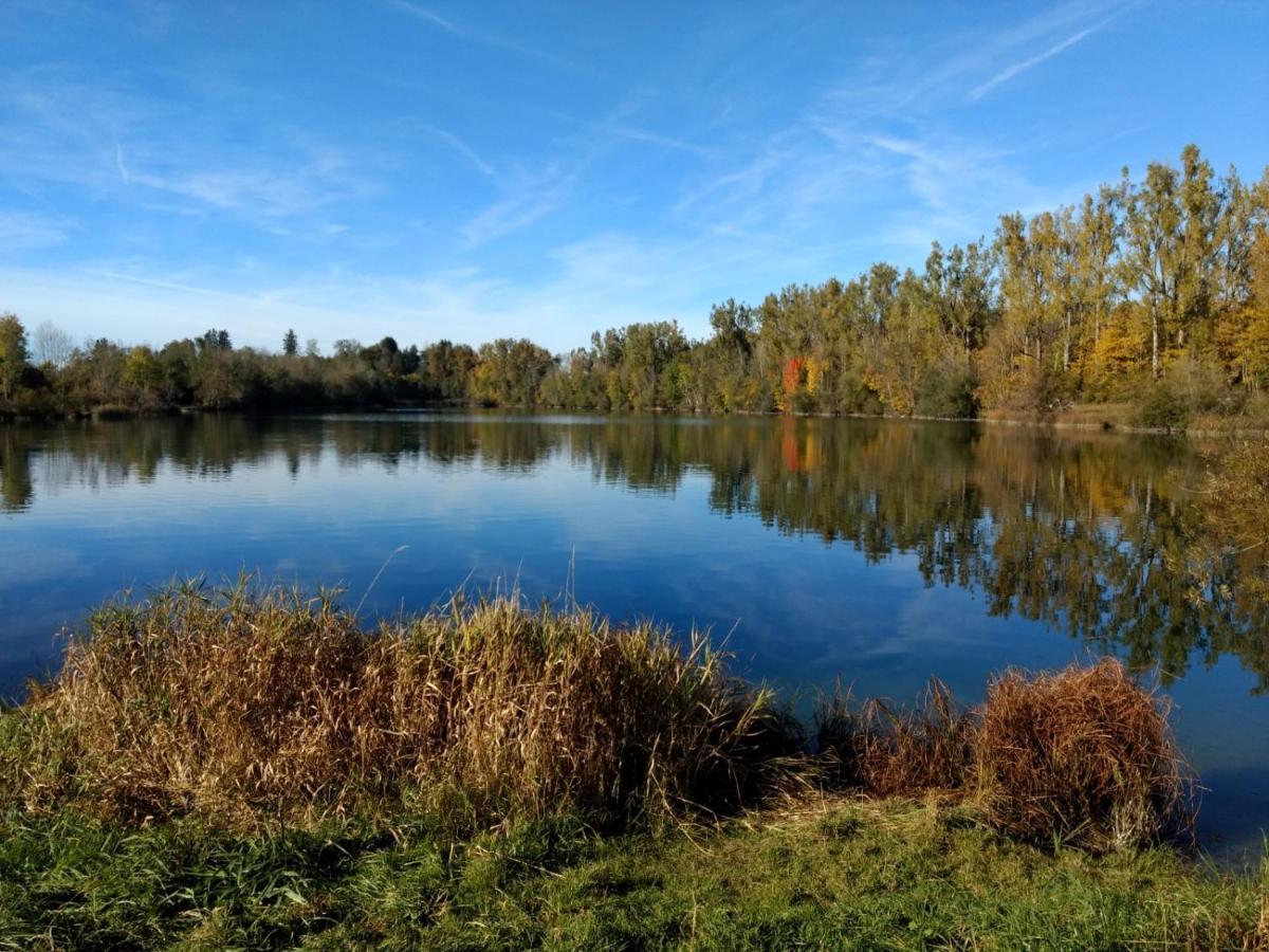 Eistobel Und Felderhalde Lägenhet Isny im Allgäu Exteriör bild