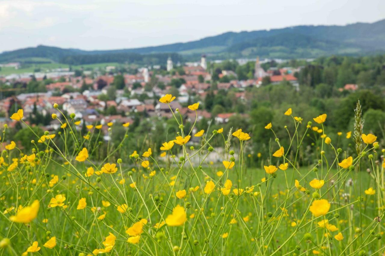 Eistobel Und Felderhalde Lägenhet Isny im Allgäu Exteriör bild