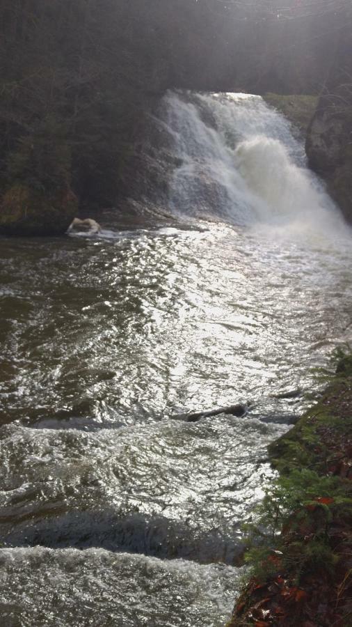 Eistobel Und Felderhalde Lägenhet Isny im Allgäu Exteriör bild