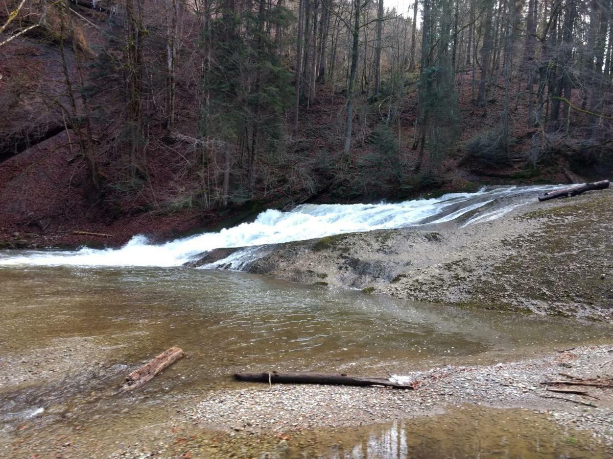 Eistobel Und Felderhalde Lägenhet Isny im Allgäu Exteriör bild